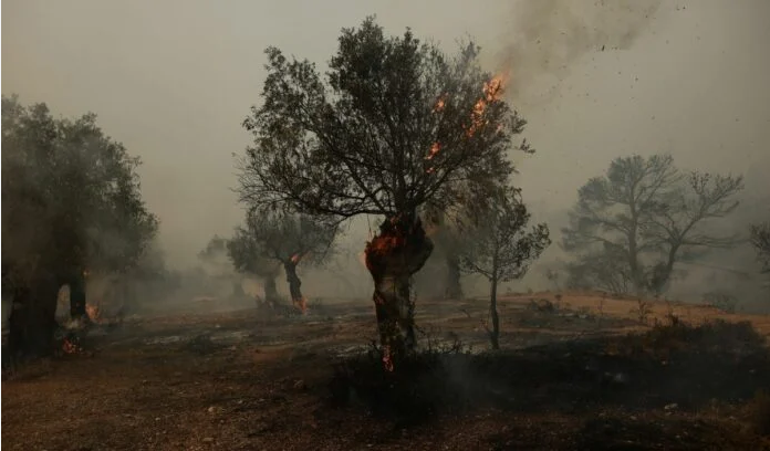 Από το 2018, μέχρι σήμερα: Καμένη Αττική γη…