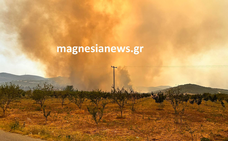 Φωτιά στη Μαγνησία: Μήνυμα από το 112 – Εκκενώνονται Διμήνι, Παλιούρι και Βιομηχανική περιοχή Βόλου