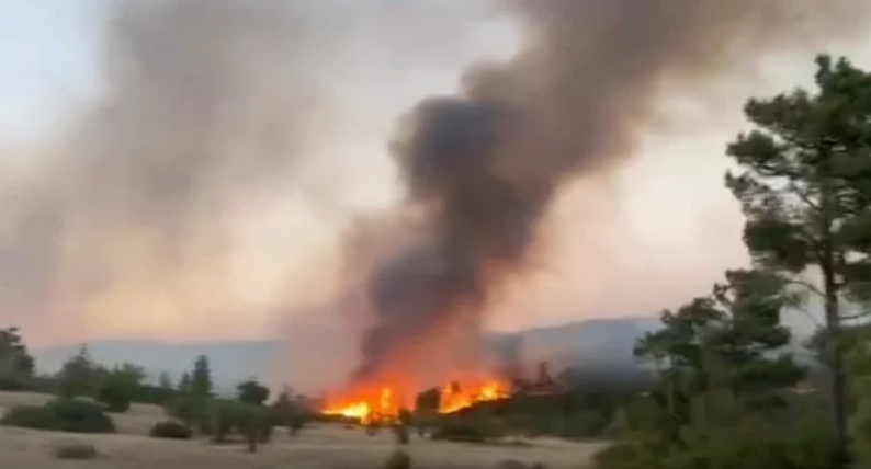 Θεσσαλονίκη: Υπό μερικό έλεγχο η φωτιά στον Προφήτη της Βόλβης