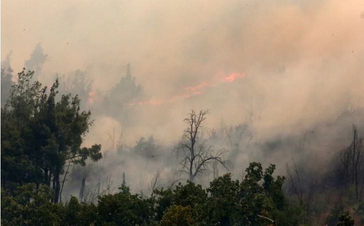 Έβρος: Συνεχίζεται για 6η ημέρα η μεγάλη φωτιά στο δάσος της Δαδιάς – Έχουν γίνει στάχτη 130.000 στρέμματα