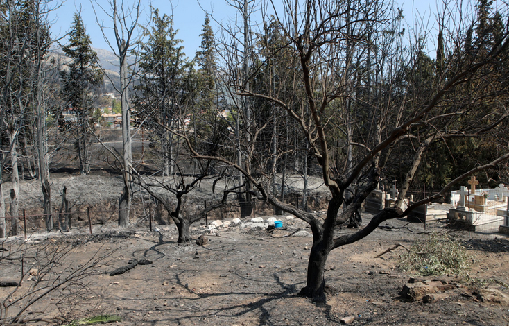 «Καμπανάκι» Γκάγκα για τις φωτιές: Λιγότερα δέντρα σημαίνει χαμηλότερη ποιότητα αέρα που εισπνέουμε