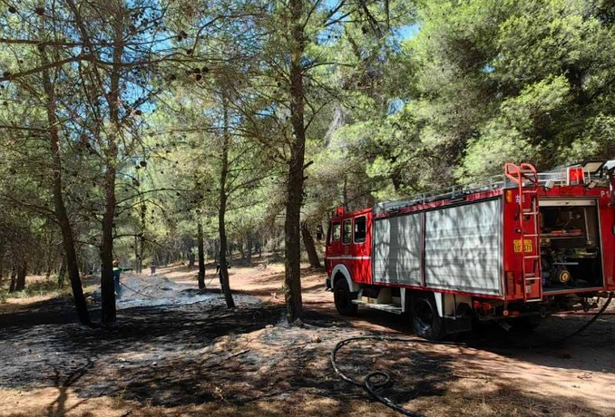 Meteo: 20% λιγότερες μεγάλες δασικές πυρκαγιές το 2023 στην Ελλάδα αλλά αυξήθηκαν κατά 270% οι καμένες εκτάσεις