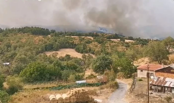 Πύρινος εφιάλτης στον Έβρο: Μάχη με τις φλόγες σε έξι περιοχές – ΒΙΝΤΕΟ