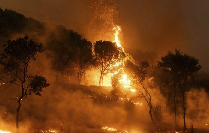 Εικόνες αποκάλυψης στον Έβρο: Για 15η μέρα καίει η φωτιά, εκκενώνεται η Λευκίμμη - Χάος και απόγνωση