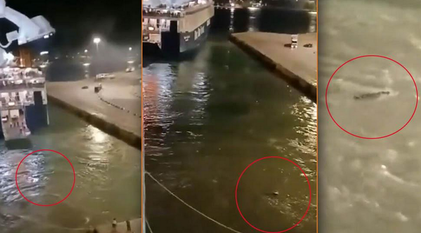 Νεο βιντεο απο την δολοφονια του 36χρονου στο λιμανι του Πειραιά