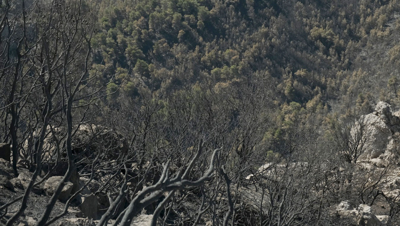Πάρνηθα: Τι έχει μείνει απ’ τη φωτιά