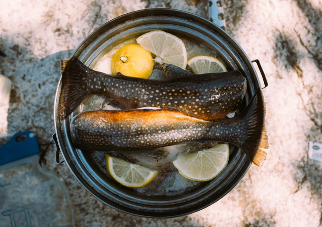 Πώς να τηγανίζετε ψάρια χωρίς να μυρίζει η κουζίνα σας – Το κόλπο που θα σας εκπλήξει
