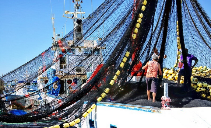 Πάνω από μισό δισ. ευρώ για αλιεία και υδατοκαλλιέργεια